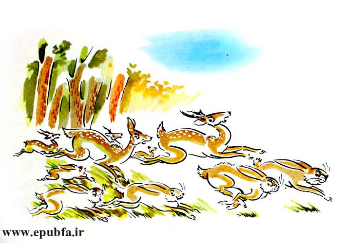 پس از مدتی کوتاه، یک گله گوزن، به دنبال خرگوشها میدویدند.